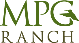 This work is funded by the MPG Ranch
